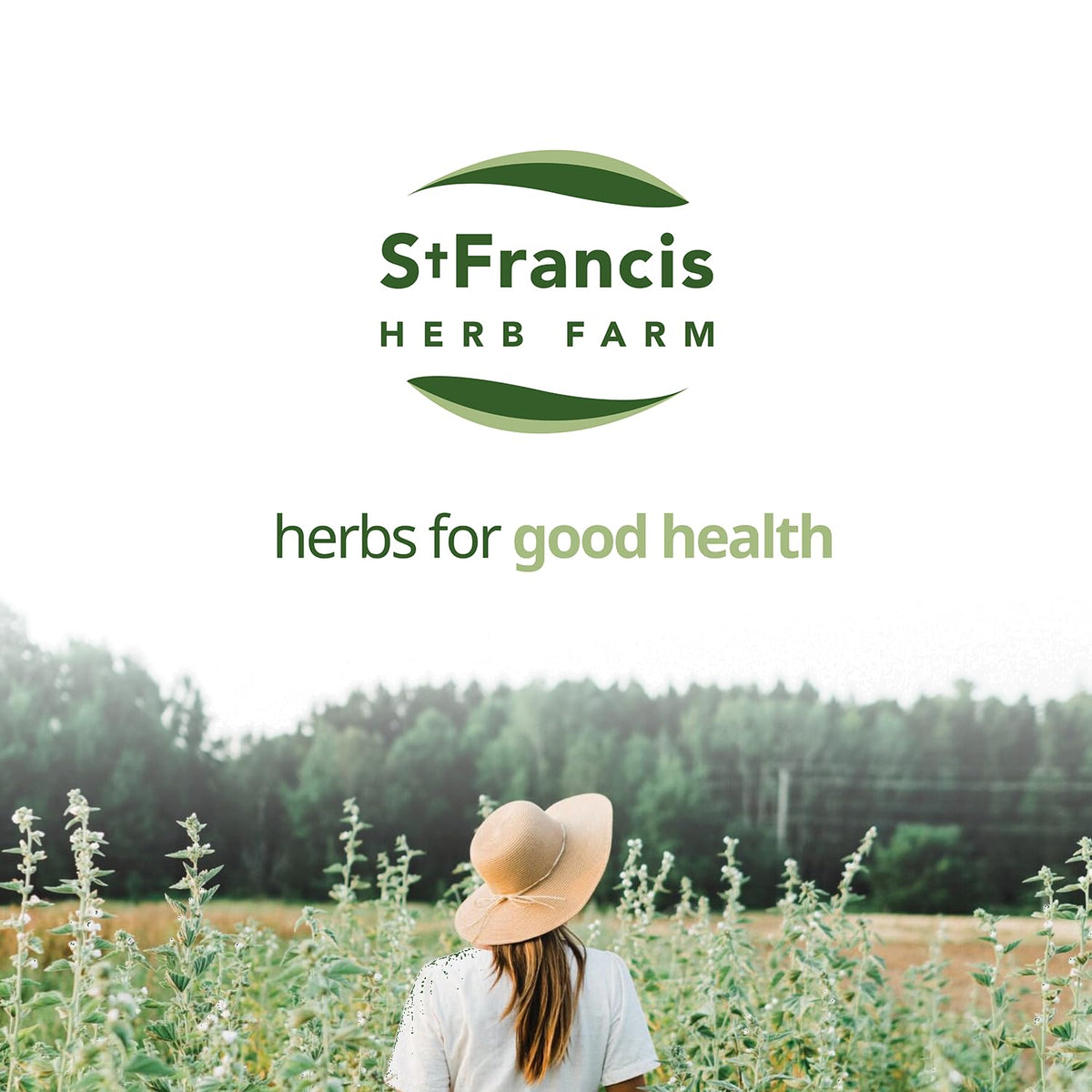 St. Francis Herb Farm Digestive Bitters (3.4floz) Natural Bitters for Digestive Issue Relief (1 Bottle) USDA Certified Organic, GMO-Free, Gluten Free, Vegan, Vegetarian, Herbal Expertise Since 1988