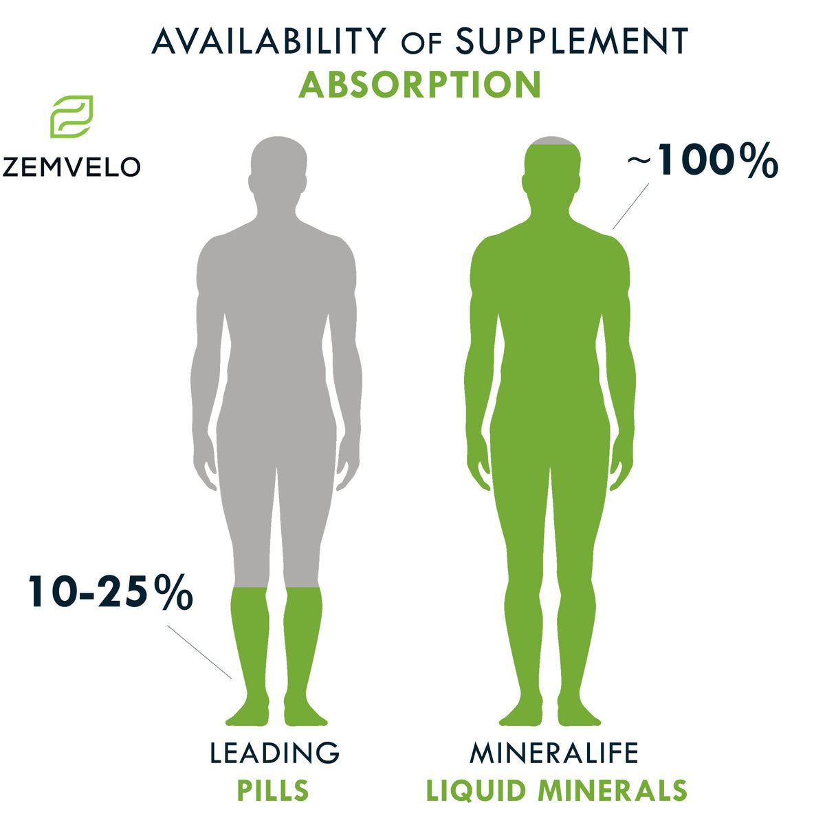 Mineralife Liquid Daily Multiple Supplement | Whole Food Nutrition - Wild Cherries, Honey, Aloe Vera, Seaweed | Multi-Mineral | for the Whole Family | Cherry Flavor