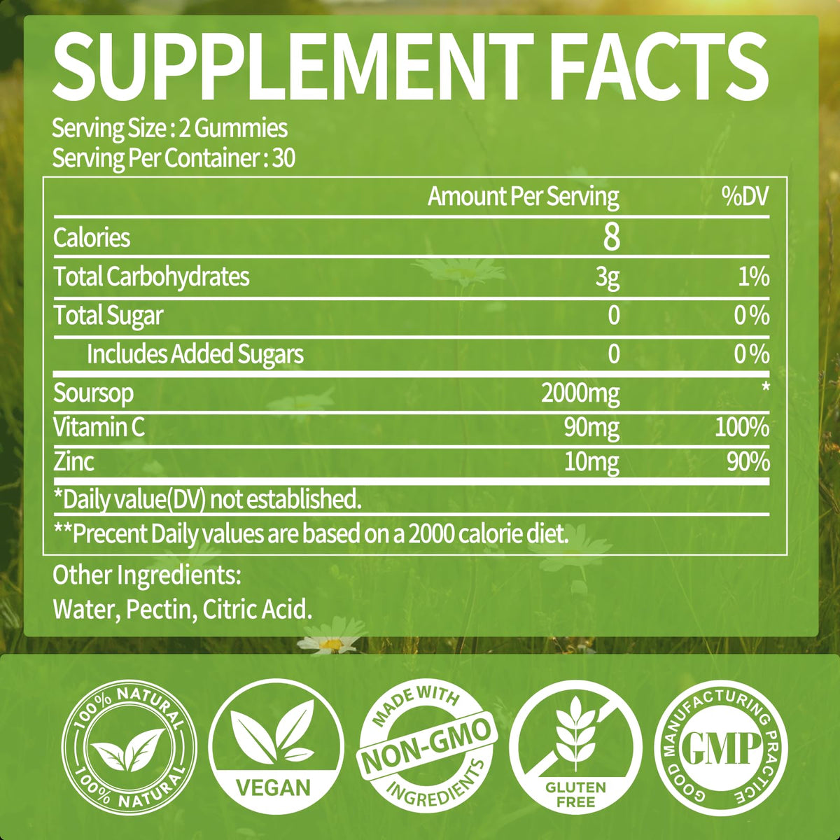 OALSE (2 Pack) Soursop Graviola Gummies, Sour SOP Leaves & Fruit Extract Plus Vitamin C and Zinc, Soursop Bitters for Immune Support, (120 Count) - Sugar Free, Vegan, Gluten Free