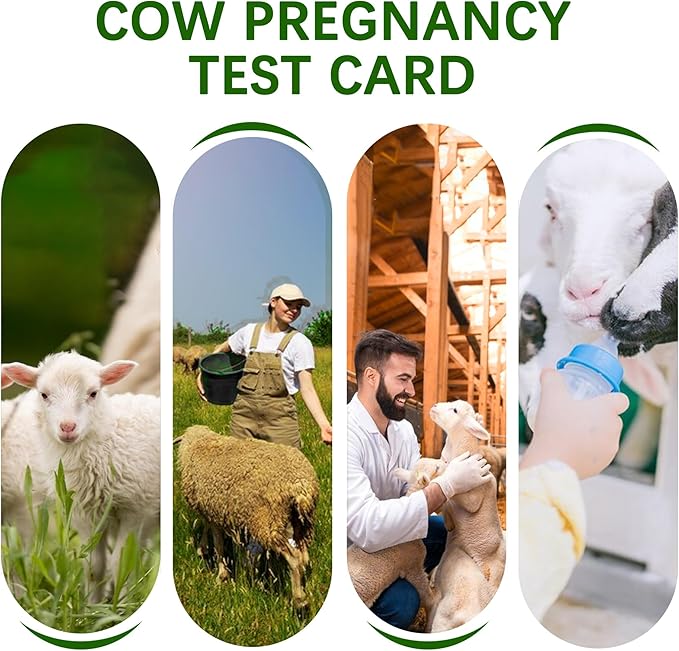 Sheep/Goat Pregnancy Rapid Detection Test (2pack)