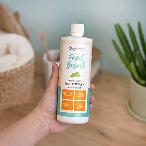Oxyfresh Fresh Breath Fresh Mint Mouthwash – Dentist Recommended for Long-Lasting Fresher Breath & Healthy Gums | Alcohol & Fluoride Free (1-16 oz Bottle)