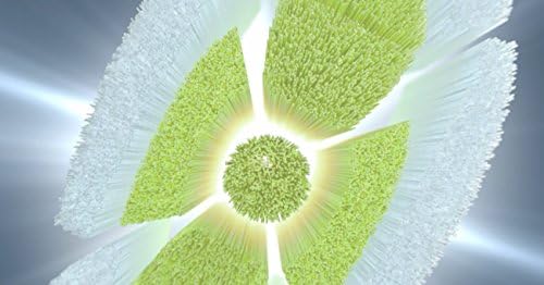 Philips Sonicare Genuine W DiamondClean Replacement Toothbrush Heads, 4 Brush Heads, White, HX6064/65
