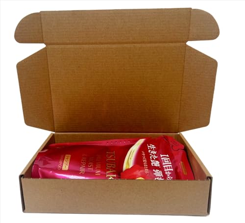 Moist Repair Tsubaki Shampoo and Conditioner - Foil Pouch Refill Set 300ml/10oz each - Camellia Oil -Moisturizes, Protects Dry Damaged Hair - Imported from Japan by SalonTop