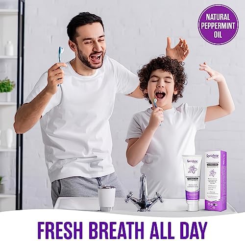 SprinJene Natural Sensitivity & Gum, Fluoride Free Toothpaste for Strong Teeth & Gums - Natural Toothpaste to Soothe Dry Mouth & Freshen Breath | 2 Pack