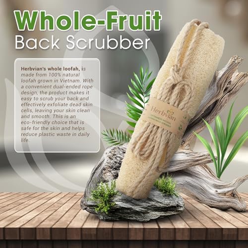 Vietnamese Natural Loofah Back Scrubber - 100% Plant-Based Exfoliation Shower Sponge, Handcrafted Whole Loofah Gourd with Jute Fiber Handle, Suitable for Men & Women (1-Pack)