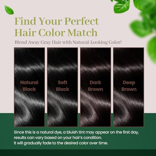 DONGSUNG Herb Speedy Color Cream (Dark Brown, 1 Pack), PPD-Free Ammonia-Free Vegan Hair Dye with Sun Protection, Odorless, Gentle for Sensitive Scalp, No Eye or Scalp Irritation