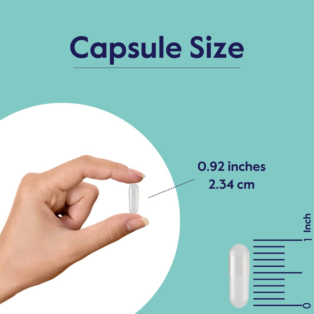 BESTVITE Liposan Ultra Chitosan 500mg (240 Capsules) - Patented Faster Acting Than Regular Chitosan - No Stearates - No Fillers