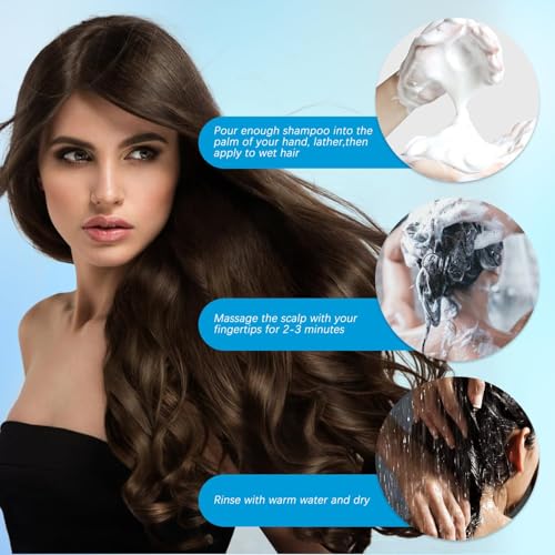 Nippori Anti-Dandruff Shampoo, Oil Control Formula for Men and Women, 300ml