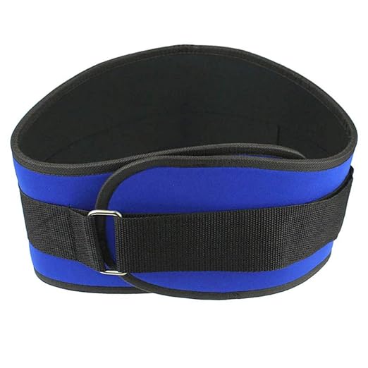 Back Support Lumbar Support Belt Lower Back Brace for Pain Relief Sciatica Herniated Disc Scoliosis Posture Correction Adjustable Mesh Support Straps for Men Women Fitness Waist Protection (Blue, M)
