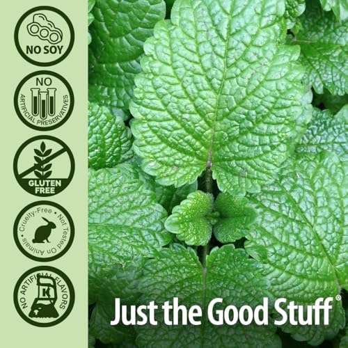 Nature's Answer Periobrite Natural Toothpaste, Cool Mint, 4 Ounce, 3 Count