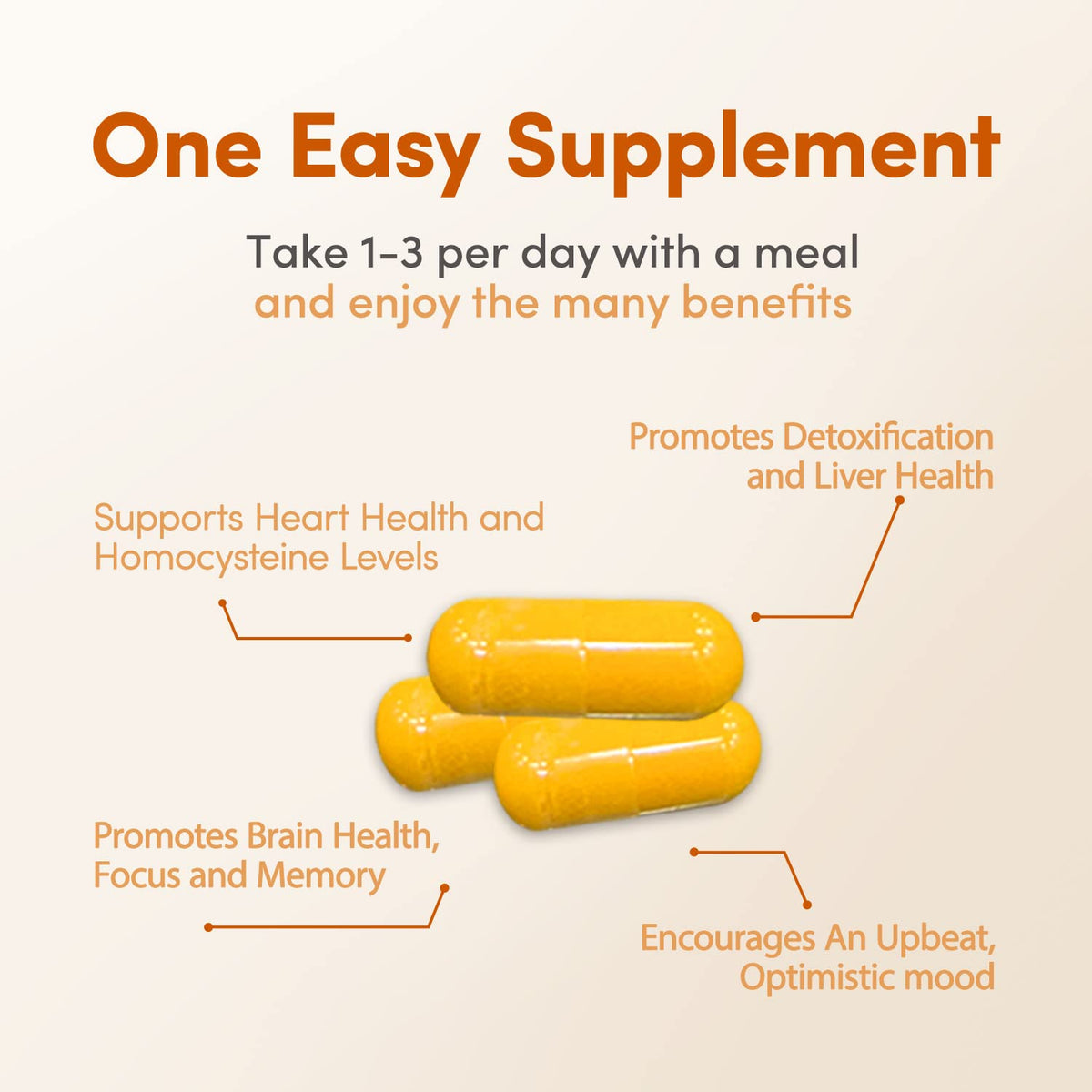 LowTE Florida Methyl Factors + - 60 Capsules I B Vitamins, Folate & Riboflavin for Normal Heart, Liver & Brain Function*, Energizing & Mood Boosting Supplement