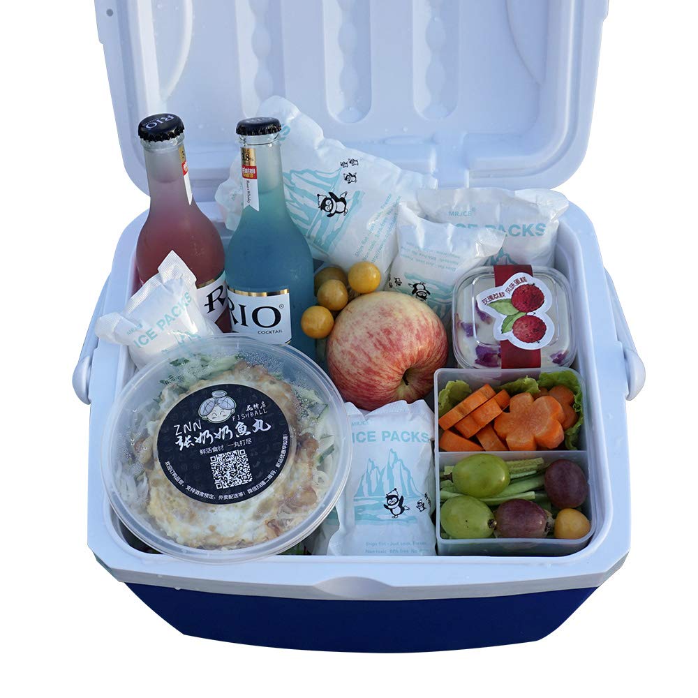WORLD-BIO Dry Ice for Shipping Frozen Food & Travel, Long Lasting Cold Packs for Cooler 96 Packs 4.7" x 3.3", Small Freezer Packs for Shipping, Bulk Reusable Dry Ice Packs Cool Pack for Shipping