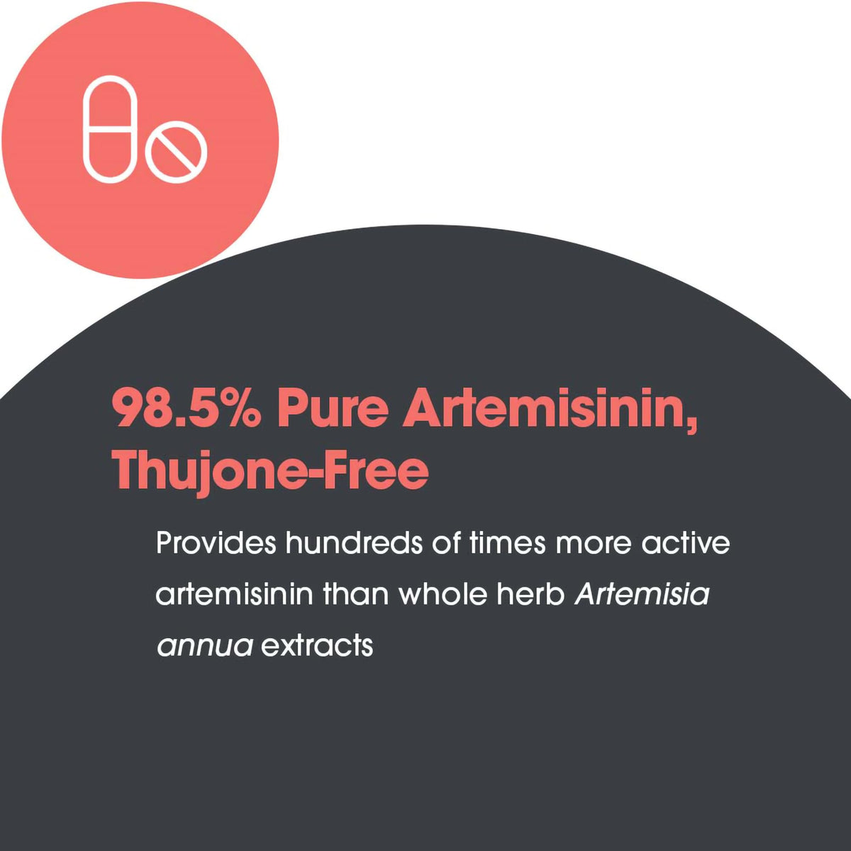 ARG Artemisinin - Delivers 200 mg Concentrated Sweet Wormwood Extract per Serving - Supports Immune and Digestive Health - Hypoallergenic & Vegetarian - 150 Servings - 300 Capsules