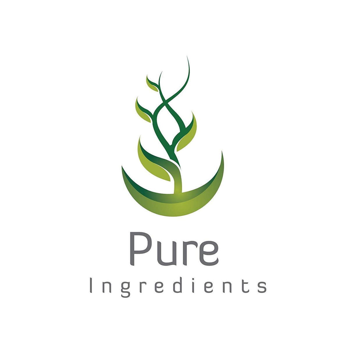 Pure Original Ingredients L-Theanine, (100 Capsules) Always Pure, No Additives or Fillers, Lab Verified