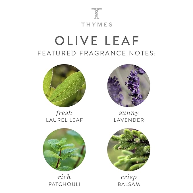 Thymes Hand Lotion - 8.25 Fl Oz - Olive Leaf
