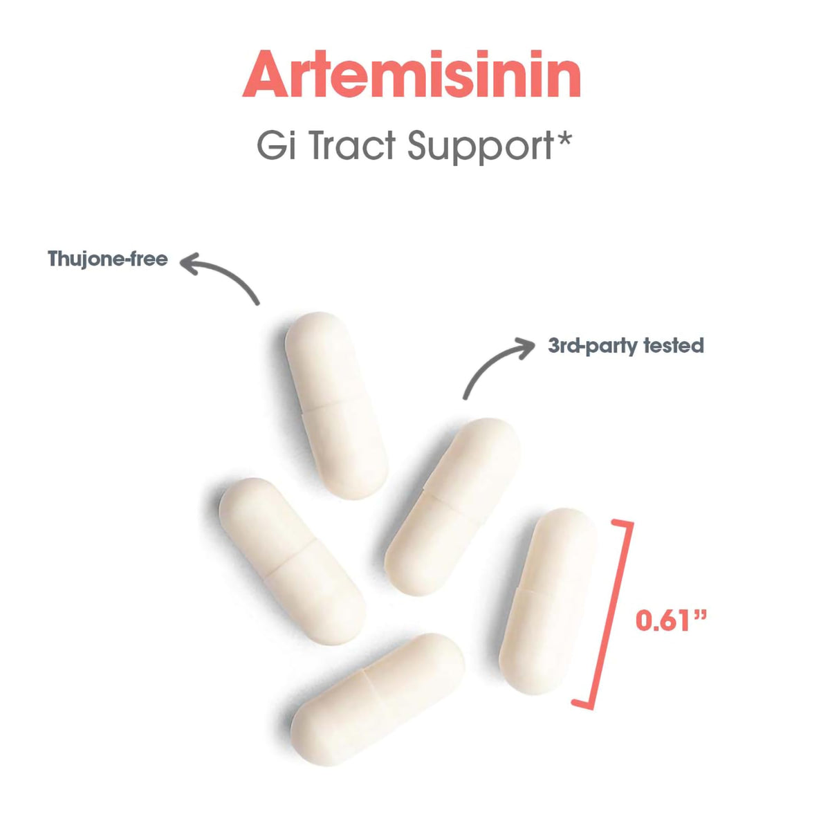 ARG Artemisinin - Delivers 200 mg Concentrated Sweet Wormwood Extract per Serving - Supports Immune and Digestive Health - Hypoallergenic & Vegetarian - 150 Servings - 300 Capsules