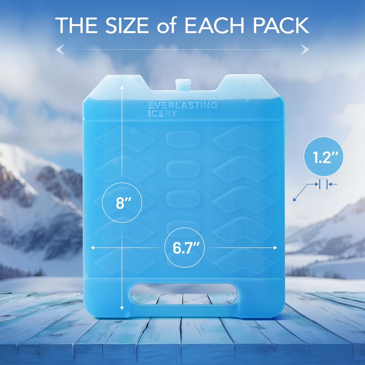 Large Reusable Ice Packs for Cooler with Handle (2 Pack) Long Lasting Coolness, BPA Free, Freezer Packs for Extended Cooling | Cooler Ice Packs for Camping, Fishing, Hiking, Beach