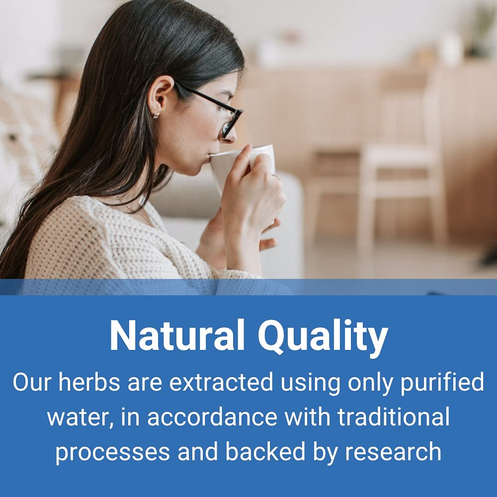 Treasure of The East, White Atractylodes Rhizome - Bai Zhu (Chao) (5:1 Concentrated Herbal Extract Granules, 100g)