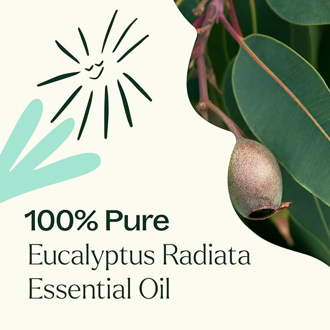 Plant Therapy Eucalyptus Radiata Essential Oil 30 mL (1 oz) 100% Pure, Undiluted, Therapeutic Grade