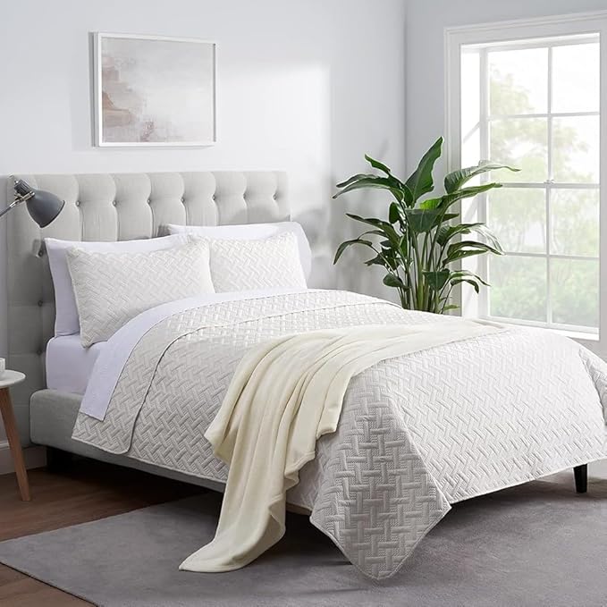 SERTA Cozy Plush Thick Fuzzy Super Soft Lightweight Throw Blanket for Bed, Couch, or Travel, Standard (50 in x 60 in), Off White