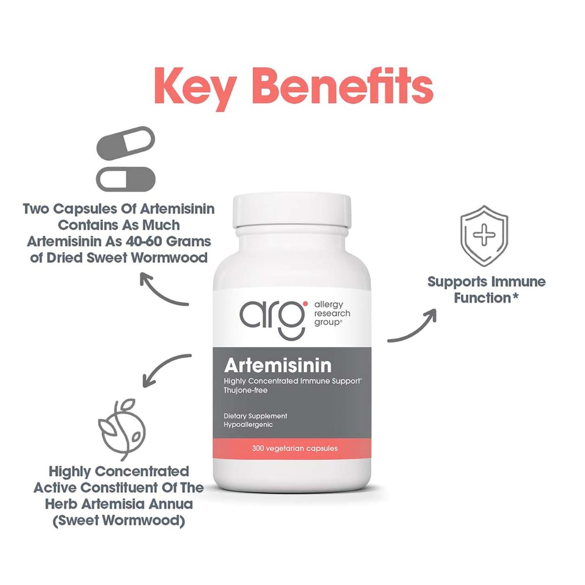 ARG Artemisinin - Delivers 200 mg Concentrated Sweet Wormwood Extract per Serving - Supports Immune and Digestive Health - Hypoallergenic & Vegetarian - 150 Servings - 300 Capsules