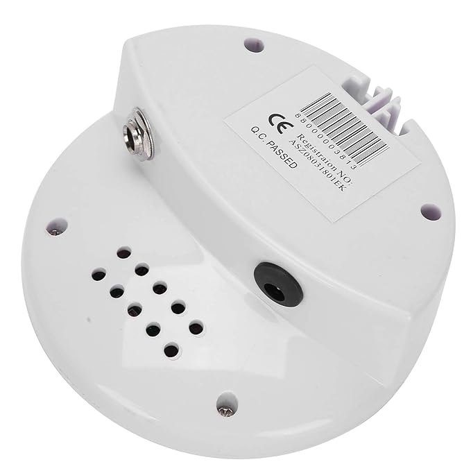 Ion Detox Machine, Portable 40W Practical Professional Foot Bath Spa, Home Spa for All Ages(U.S. regulations)