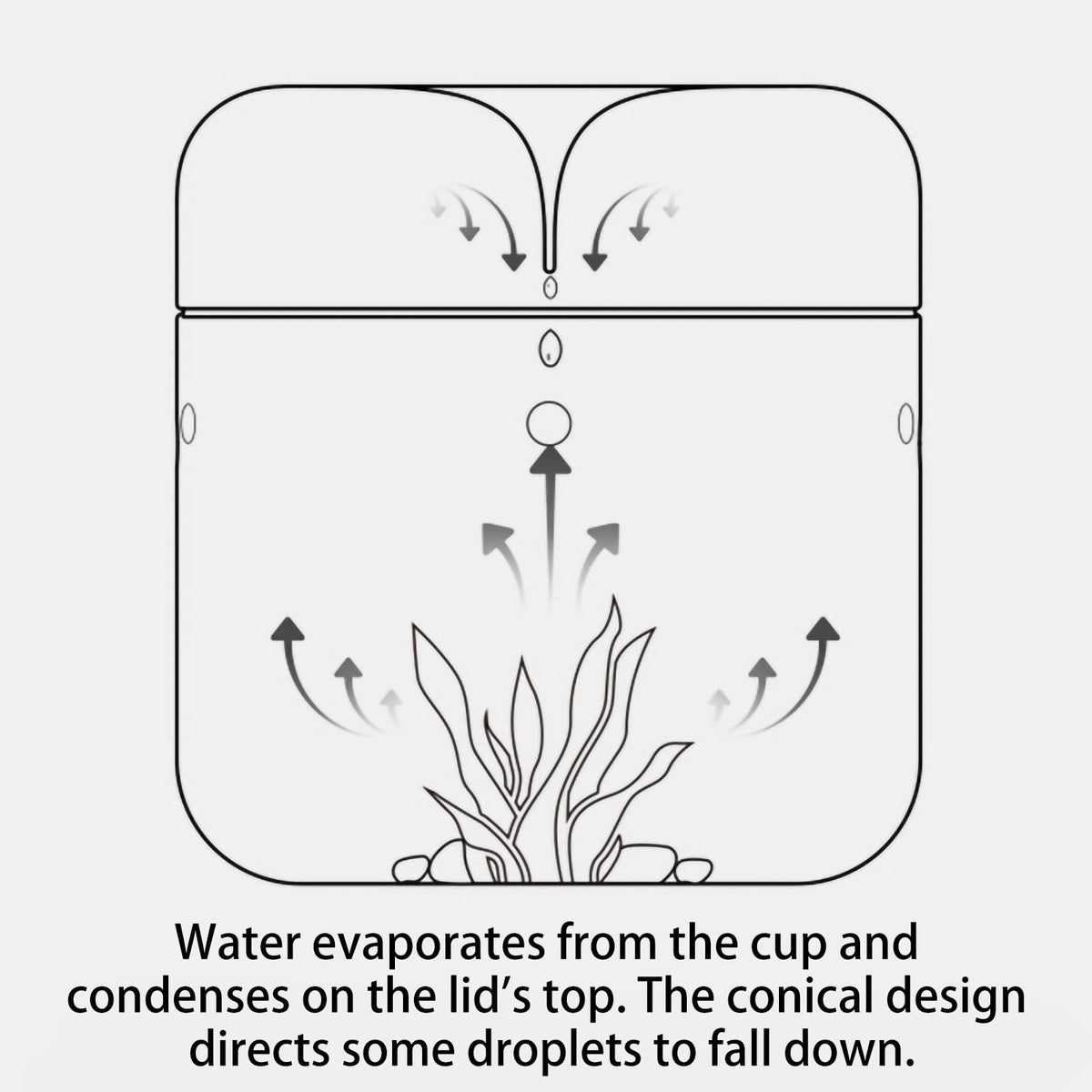 SARUFO Small Glass Plant Terrarium 4.7"X7" Inches Succulent Air Planter Fern Moss Micro-Landscape Vase for Home Garden Office Tabletop Decoration Container with Lid Indoor Wardian Copyright Patent