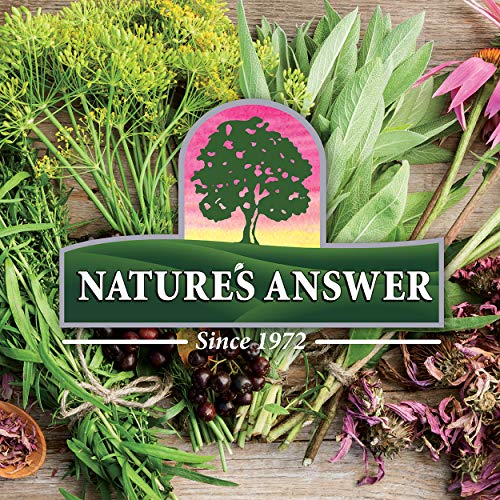 Nature's Answer PerioCleanse Oral Rinse and Oral Cleansing Concentrate | Cool Mint Flavor | Fluoride-Free, Alcohol Free, No Artificial Preservatives, Colors, Dyes, or Sweeteners 4oz
