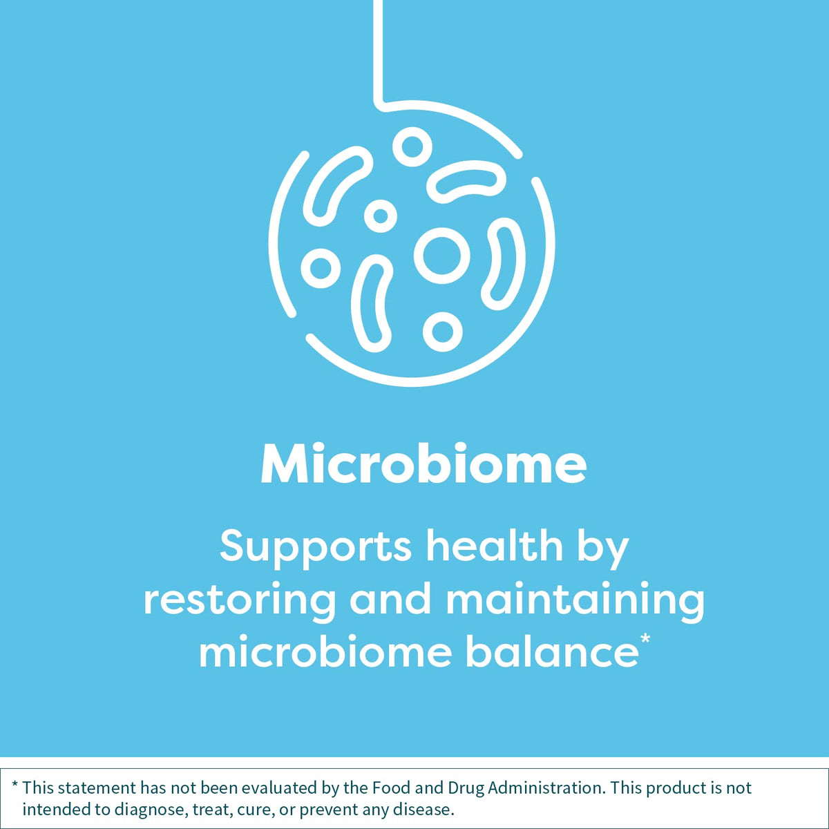 Klaire Labs SFI Health Vital-Plex Probiotic - Helps Rebalance GI Microbiota for Men & Women, 5 Billion CFU Hypoallergenic & Dairy-Free Bifidobacterium & Lactobacillus Blend (100 Capsules, 2 Pack)