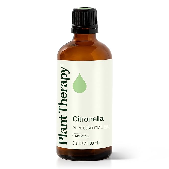 Plant Therapy Citronella Essential Oil 100 mL (3.3 oz) 100% Pure, Undiluted, Citronella Oil for Aromatherapy, Diffuser, Candle Making, Skin Care, Outdoors, Therapeutic Grade