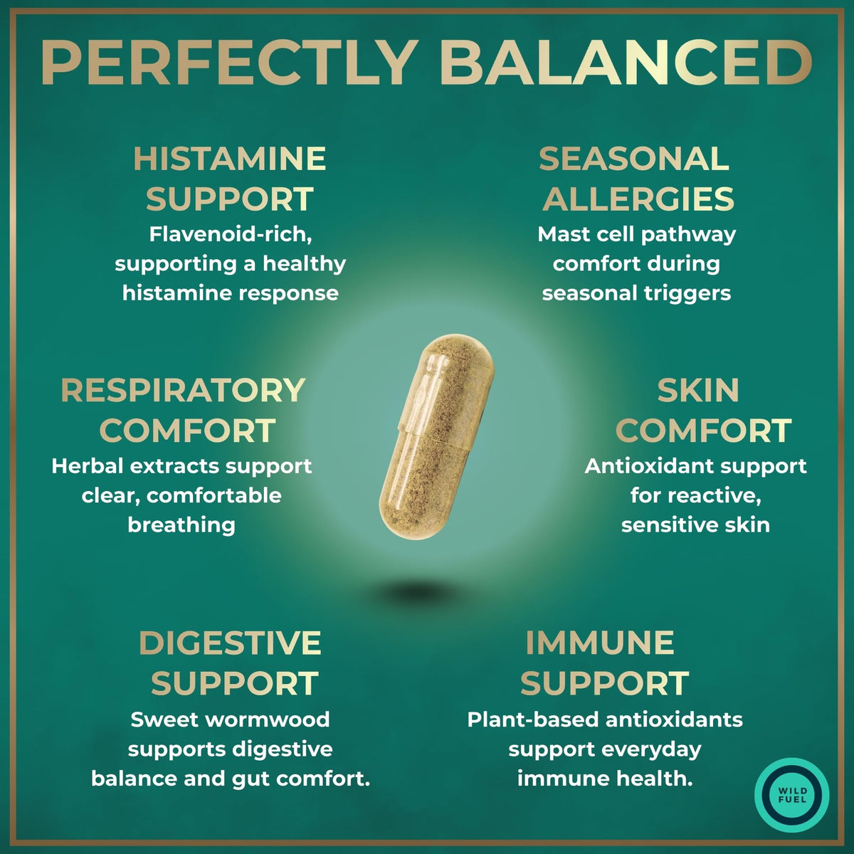 Histamine Block Flavonoids Supplements - Quercetin, Nettle, Atermesia Natural Source Flavonoids - Seasonal Allergy Balance Supplements Histamine Blocker - 120 Homeopathic Allergy Relief D-Hist Caps