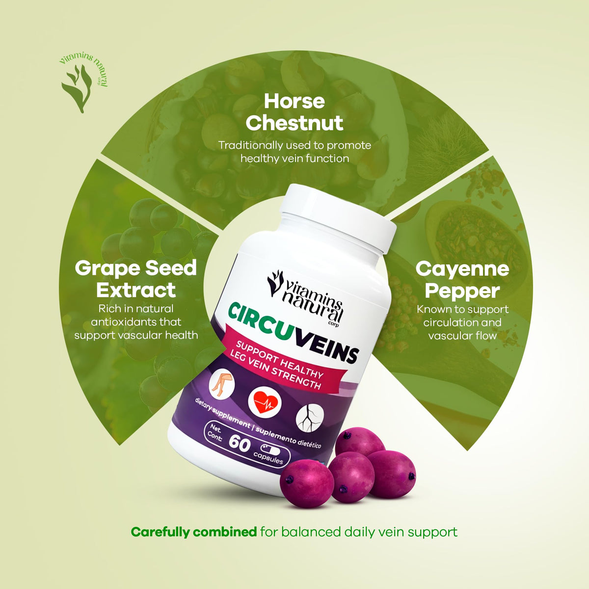 VITAMINS NATURAL CORP CircuVeins Circulation Support Supplement for Legs and Veins with Horse Chestnut Gotu Kola Butcher’s Broom and Grape Seed for Healthy Blood Flow and Leg Comfort – 60 Capsules