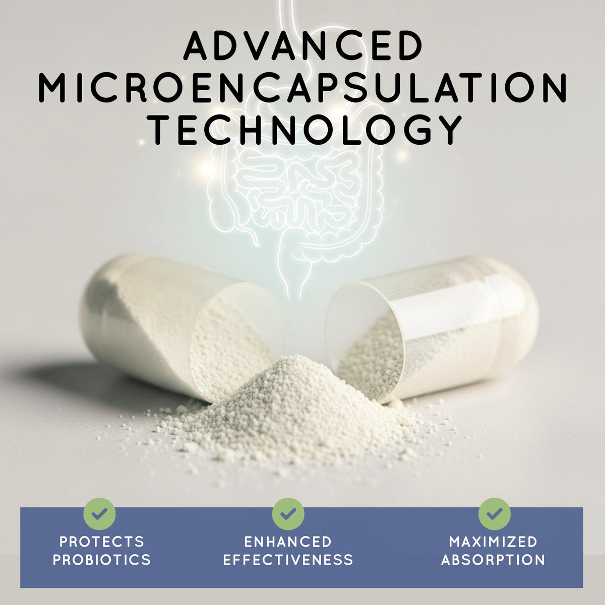 Essential Source TriActive Biotics Daily Care – Probiotics for Women and Men, 6 Billion CFU with Prebiotic Blend – Daily Digestive and Immune Support Gut Health Supplement – 30 Capsules
