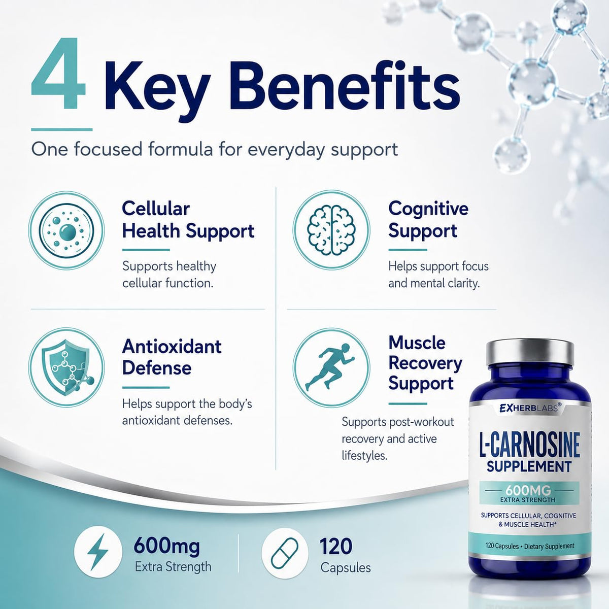L-Carnosine 600mg Capsules, Premium Carnosine Supplement for Cellular Rejuvenation & Brain Support, Advanced L Carnosine Supplement for Antioxidant Defense & Muscle Recovery, 120 Capsules
