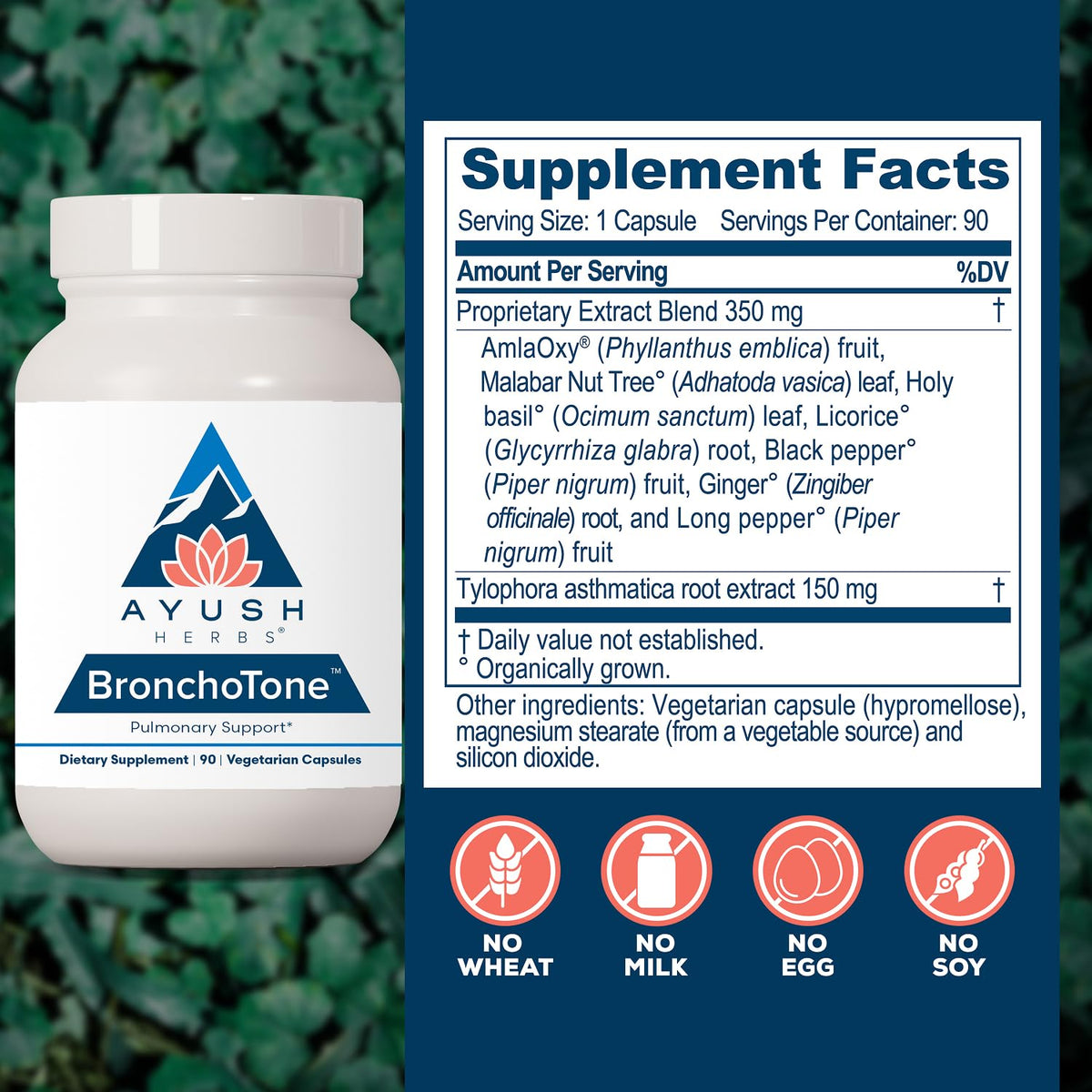 Ayush Herbs Bronchotone, Bronchial Support, Adults, 90 Servings