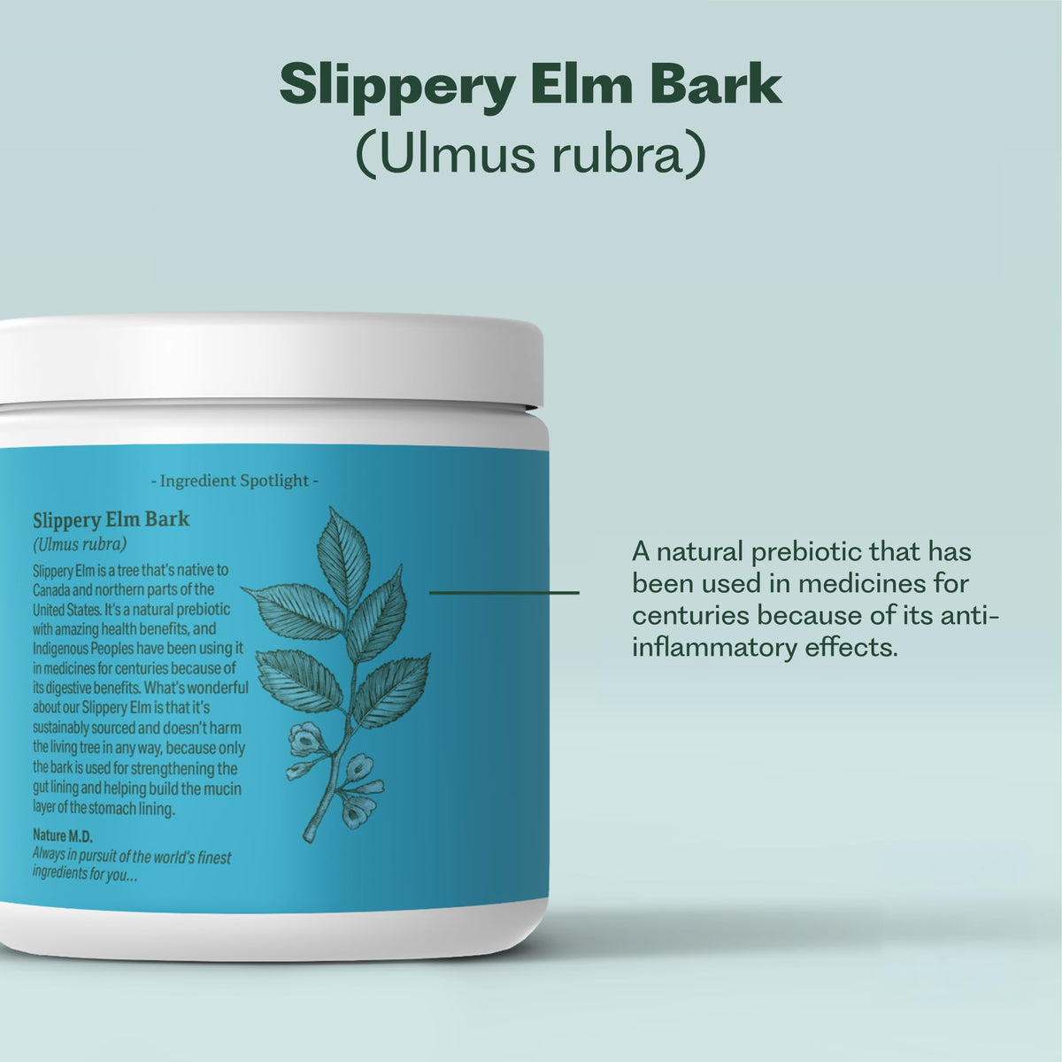 Nature M.D. GutConnect 365 – Chocolate Coconut |Gut Health SuperFood Powder | Vegan Certified | Allergen Free | Non-GMO | Soy Free | Made in the USA | 30 Servings