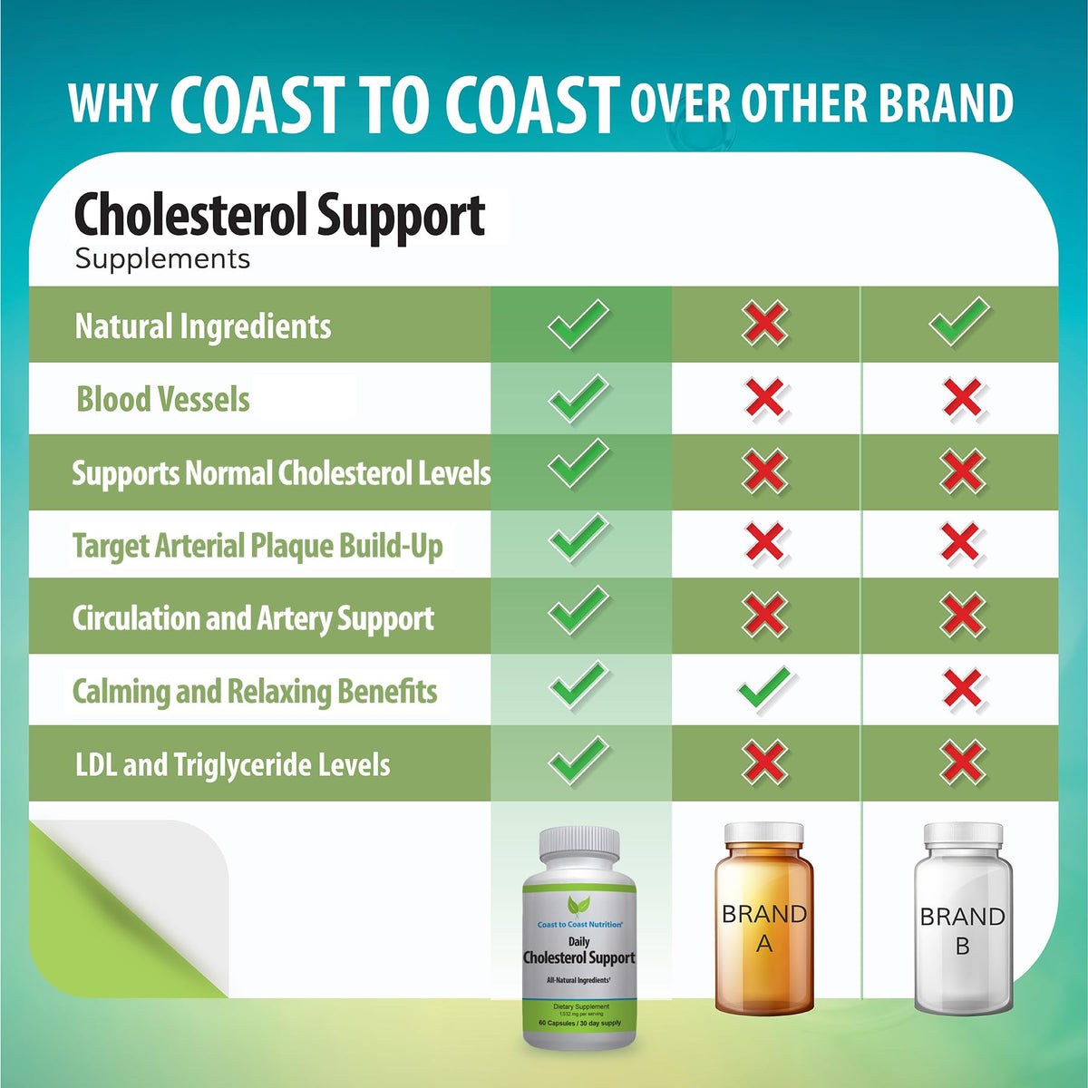 Coast to Coast Nutrition Cholesterol Support Supplement - Support Cardiovascular & Artery Performance, Target Bad LDL Levels & Plaque Calcium Buld-Up - Promote Circulation & Blood Flow - 60 Capsules