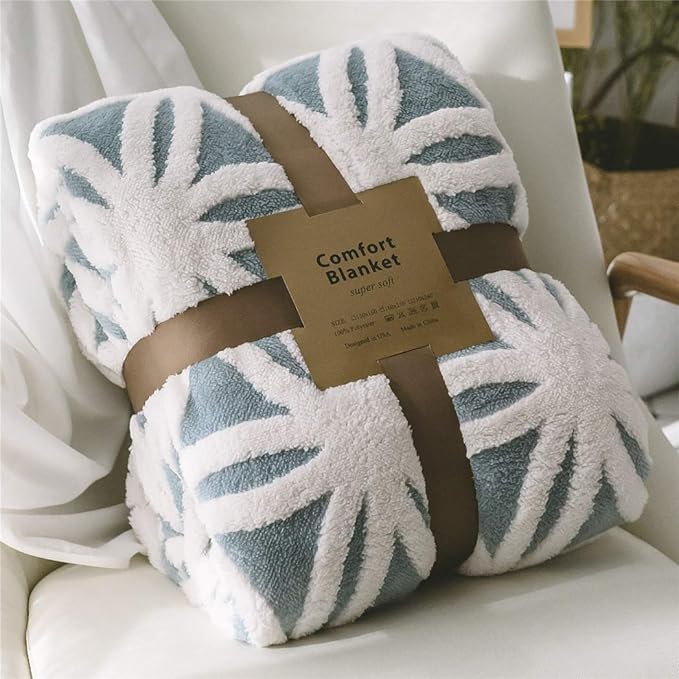 LOMAO Sherpa Fleece Blanket Fuzzy Soft Throw Blanket Dual Sided Blanket for Couch Sofa Bed (Light Blue, 60''x 80'')