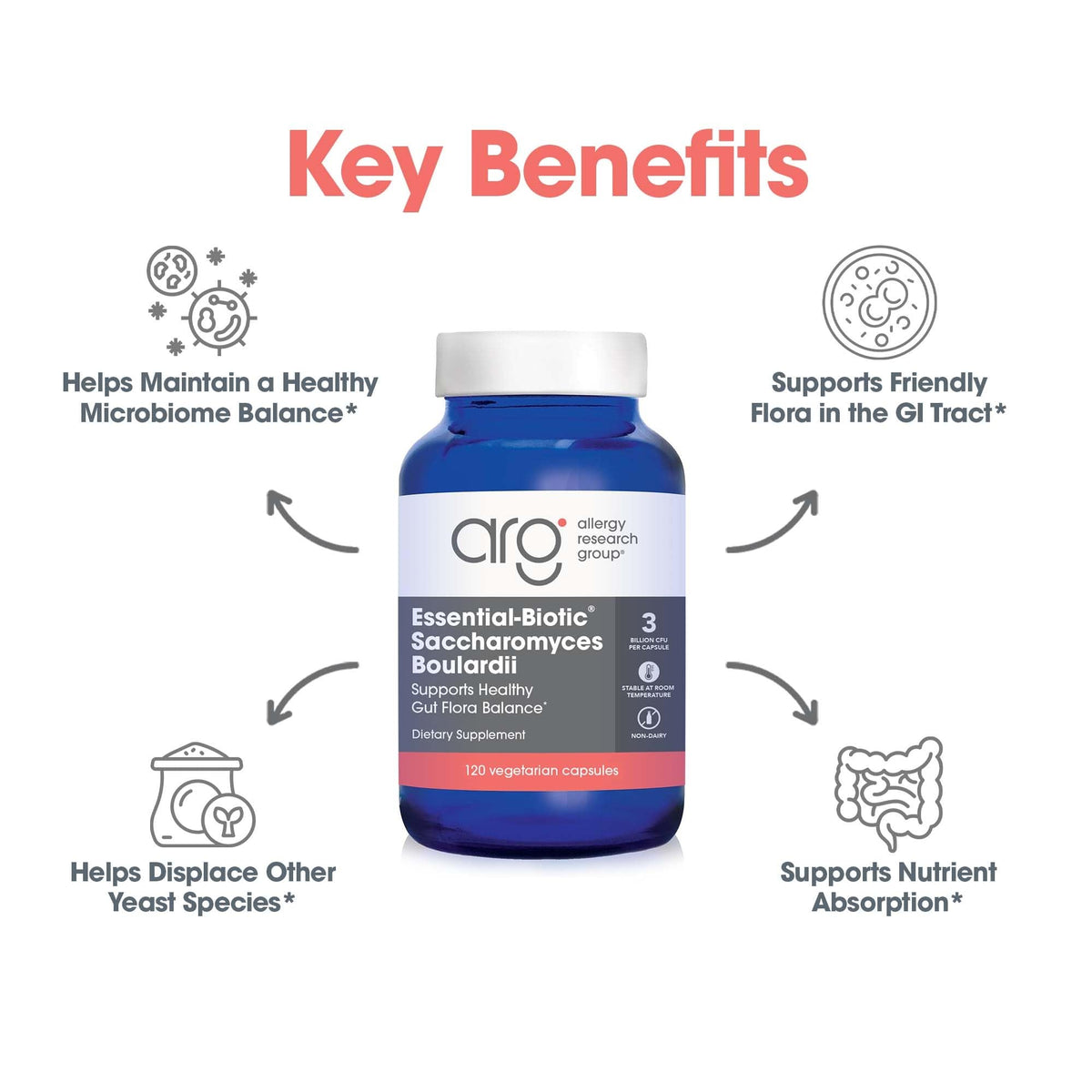 ARG Essential-Biotic Saccharomyces Boulardii - 9 Billion CFU Probiotic Yeast - Gastrointestinal Balance & Immune Function Support - Vegetarian - 40 Servings - 120 Capsules