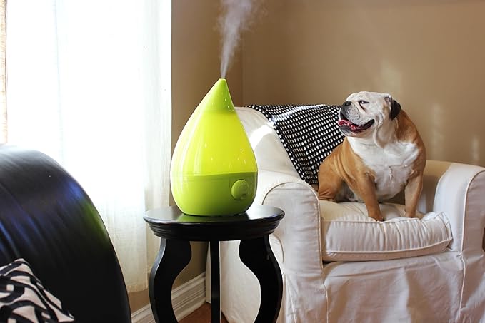 Crane Drop Ultrasonic Cool Mist Humidifier, 1 Gallon Teardrop with Auto Shutoff for Baby Nursery, Bedroom, Office, Plants, Green