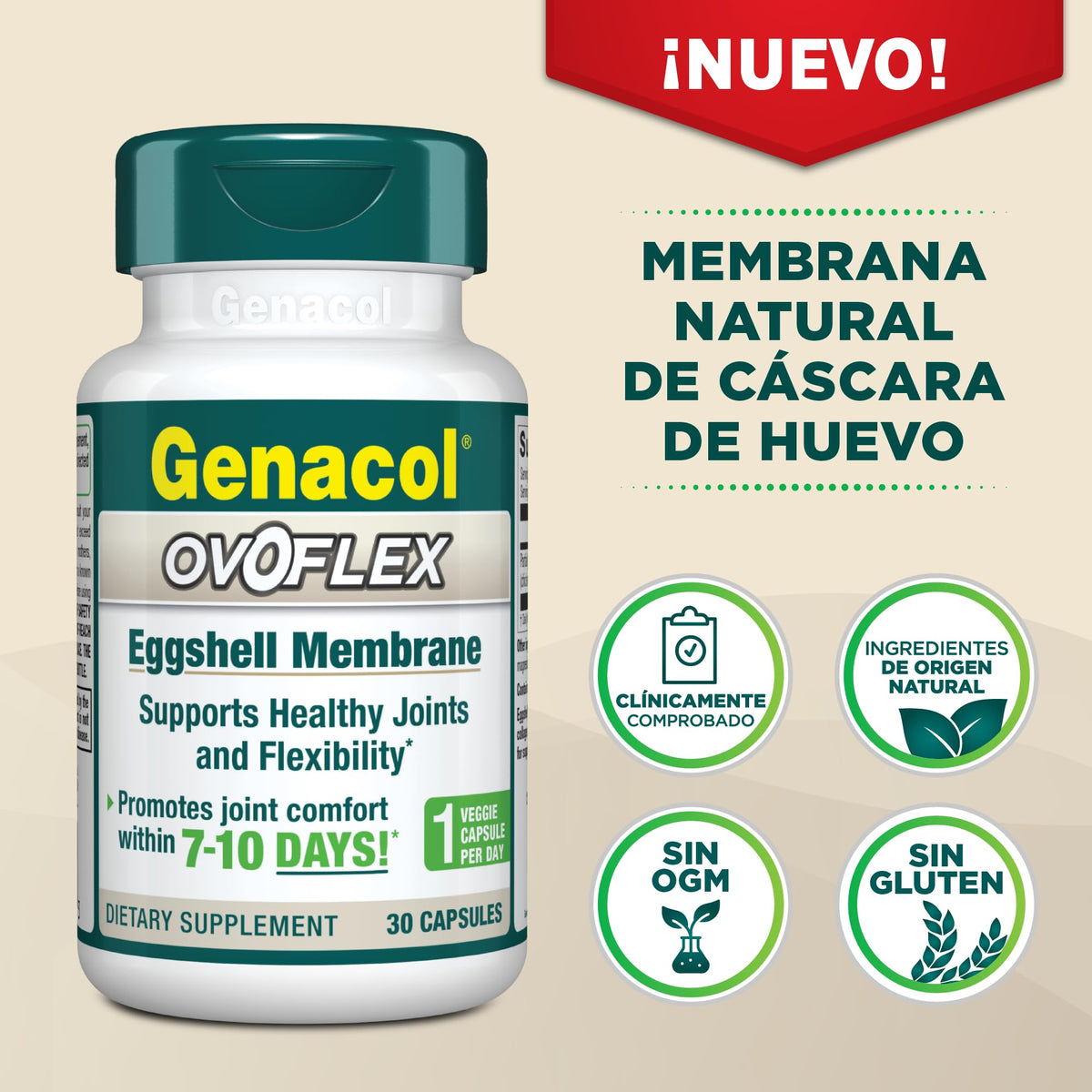 Genacol Ovoflex – Natural Eggshell Membrane Supplement, Support Healthy Joints & Flexibility, Vegetarian Solution for Joint Care, Results in 7 Days, 30 Capsules (30-Day Supply)