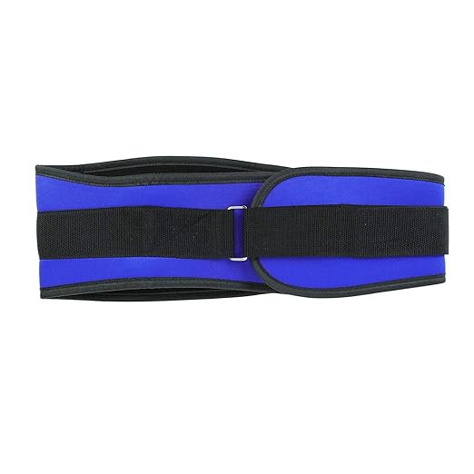 Back Support Lumbar Support Belt Lower Back Brace for Pain Relief Sciatica Herniated Disc Scoliosis Posture Correction Adjustable Mesh Support Straps for Men Women Fitness Waist Protection (Blue, M)