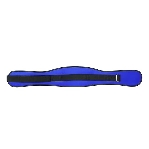 Back Support Lumbar Support Belt Lower Back Brace for Pain Relief Sciatica Herniated Disc Scoliosis Posture Correction Adjustable Mesh Support Straps for Men Women Fitness Waist Protection (Blue, M)