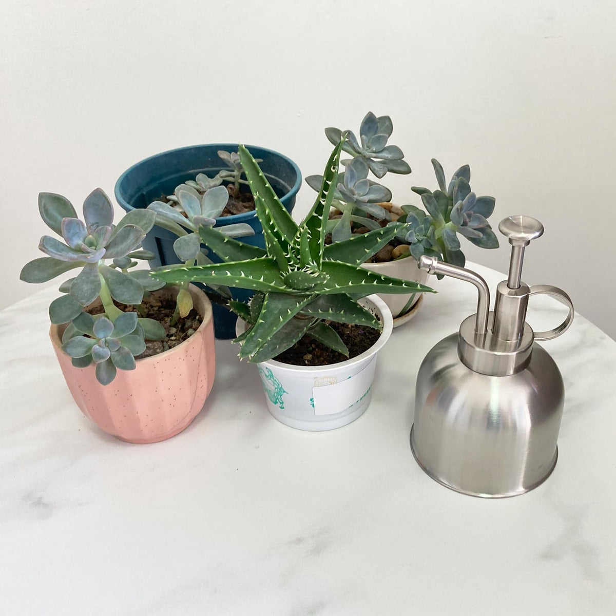 Plant Mister Spray Bottle Stainless Steel Plant Sprayer, Small Watering can Plant Spray Bottle Modern Gardening Tools for Indoor Potted Plants Watering and Spraying