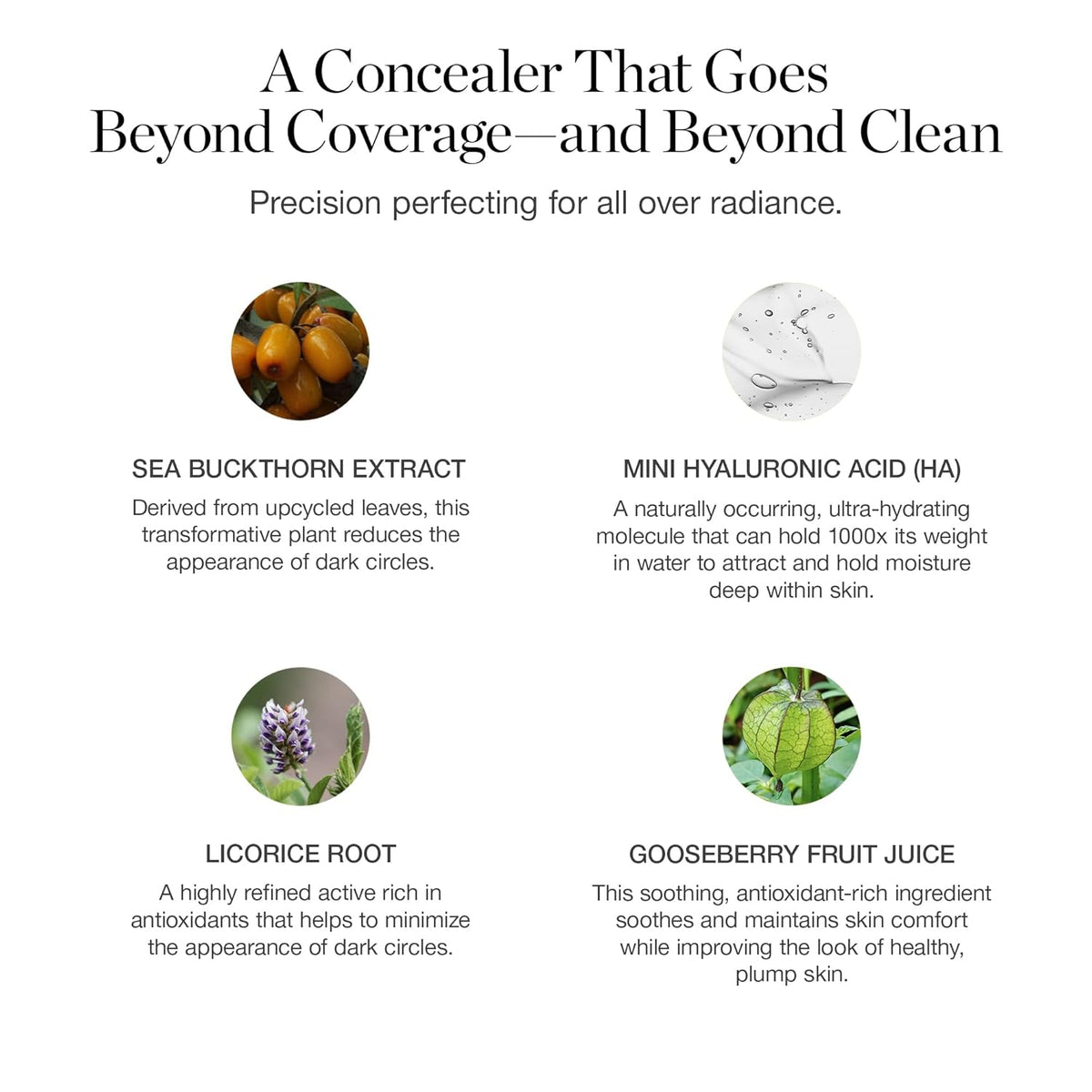 Ogee Complexion Perfecting Under Eye Concealer - Certified Organic Full Coverage Concealer - Buildable Coverage - ROSEWOOD 0.00C - Fair (Cool Undertones)