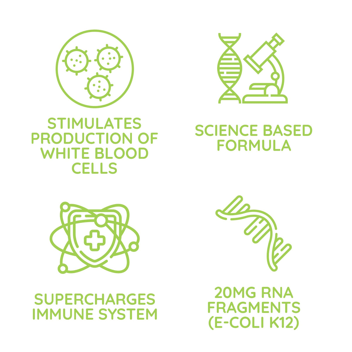 Beljanski® Products - ReaLBuild® - Immune Support Supplement - 10 Doses