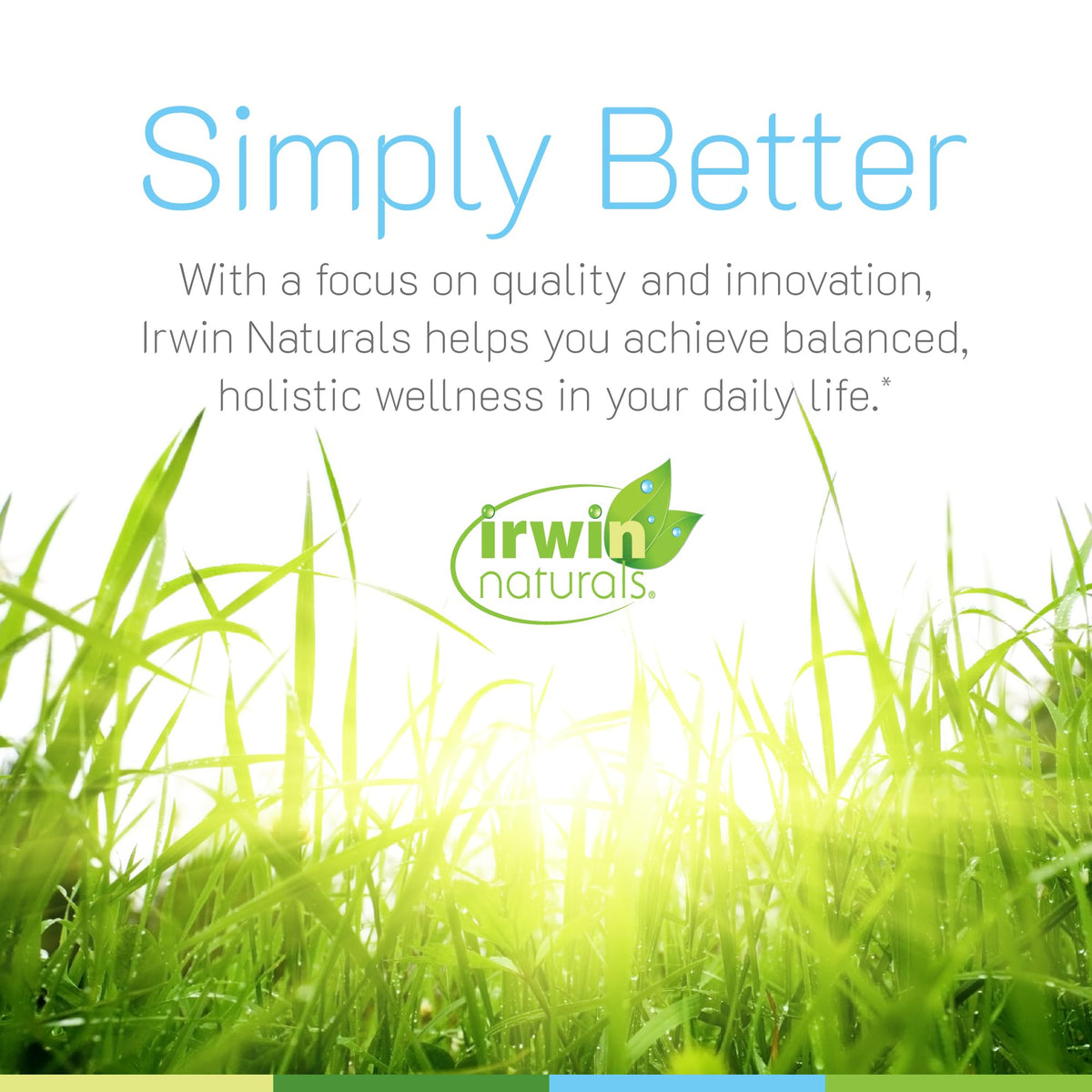 Irwin Naturals Immuno-Shield All Season Wellness - Promote Body's Natural Defense System - Powerful Antioxidants and Immune Support Supplement for Men and Women - 100 Liquid Soft-Gels