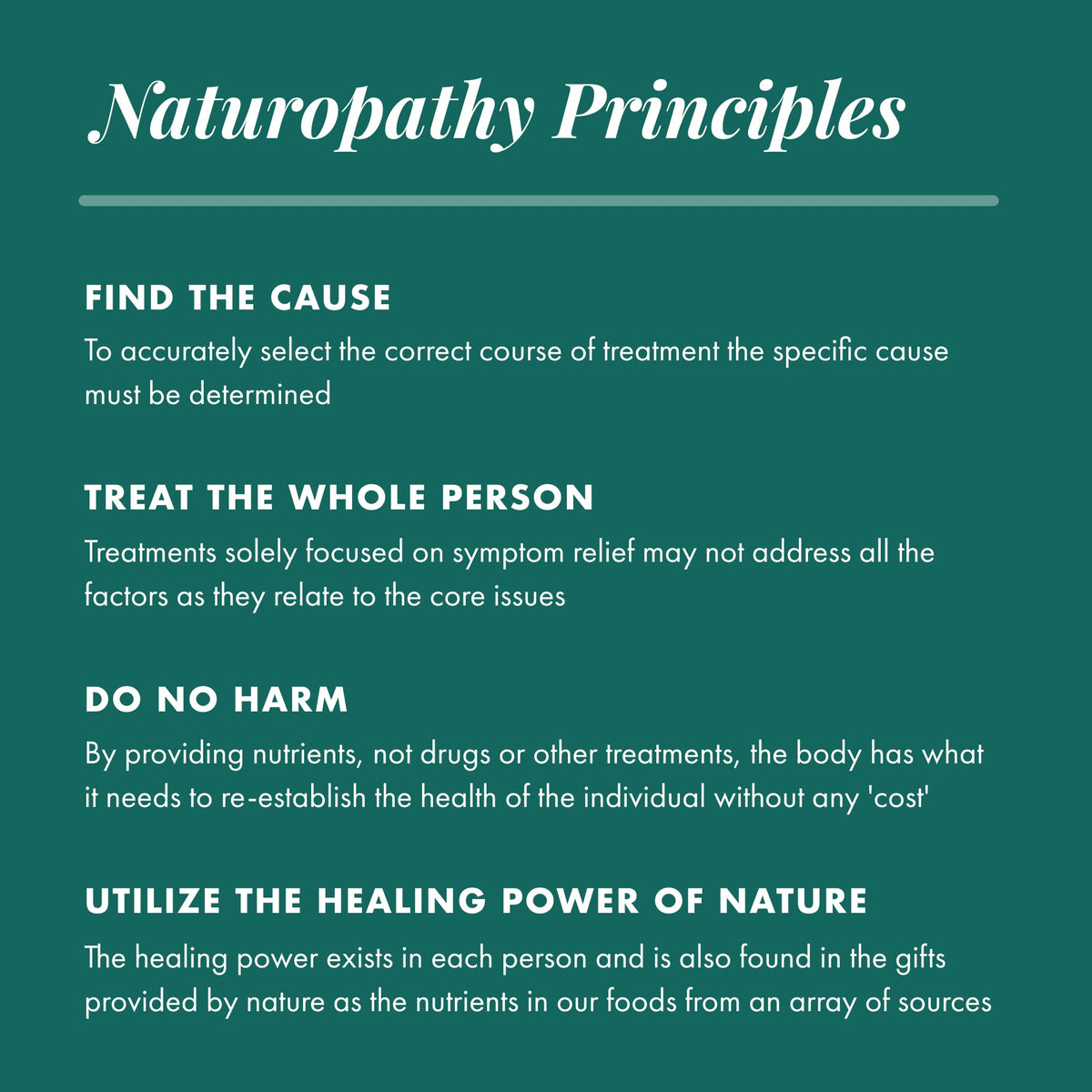 MICHAELS NATUROPATHIC Kidney Factors, 60 CT