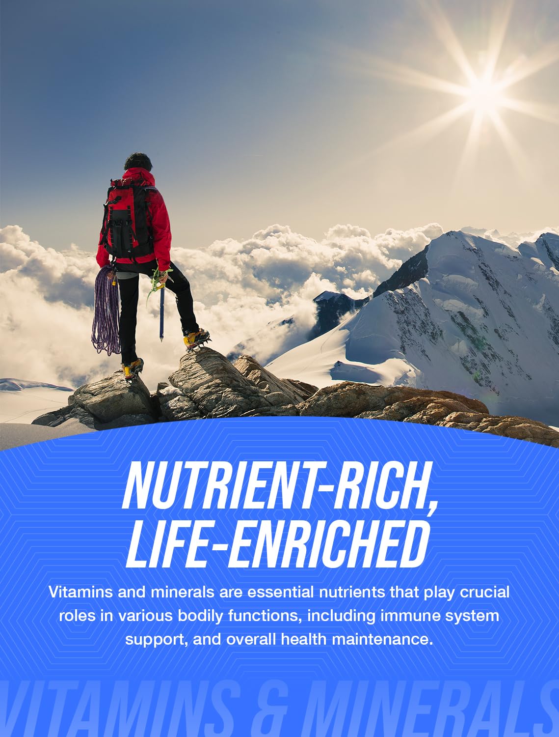 BulkSupplements.com NAD Capsules - Nicotinamide Adenine Dinucleotide, NAD Supplement - Gluten Free, 2 Capsules per Serving (1000mg), 60 Count (Pack of 1)