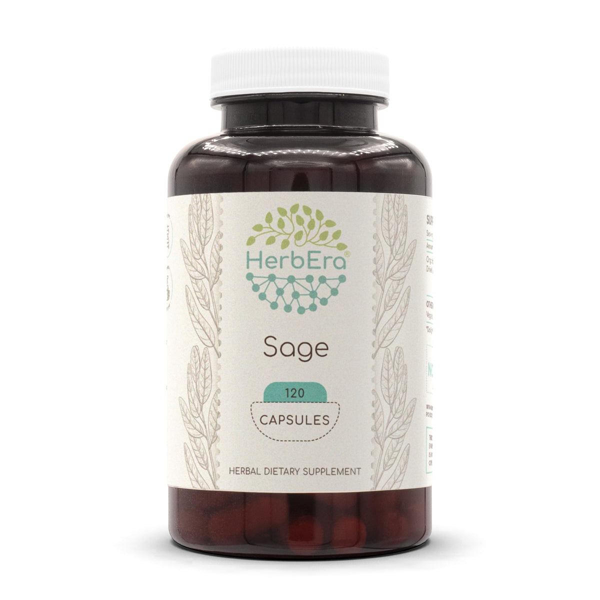 HerbEra Sage 120 Capsules, 500 mg, Sage (Salvia officinalis) Dried Leaf (120 Capsules)